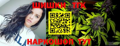 spice Моздок