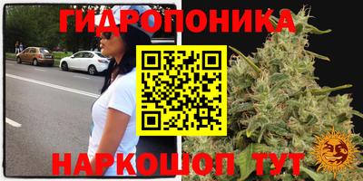 spice Моздок